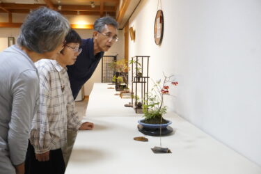 作品をじっくりと観賞する来場者=岡山県津山市で