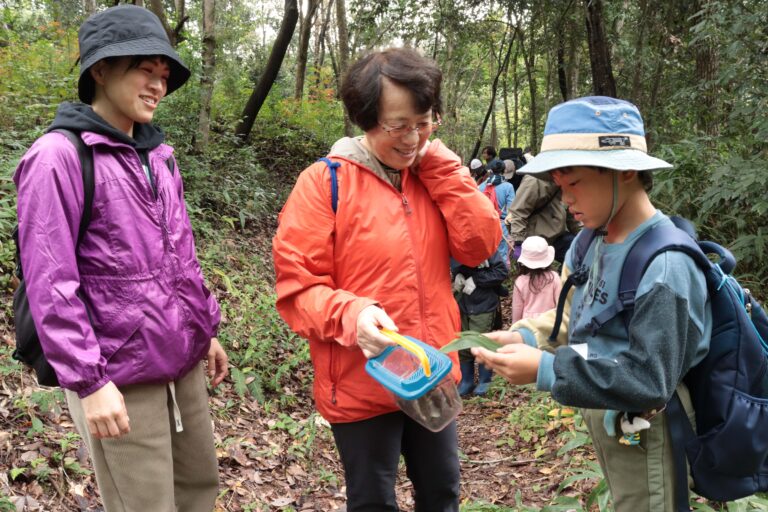 山道を散策しながら葉っぱなどを集める子どもら=岡山県津山市で