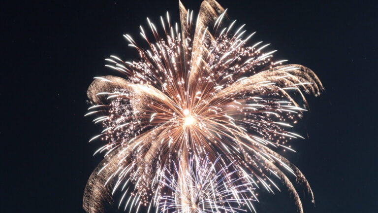 夜空と川面を彩る色鮮やかな花火＝岡山県真庭市で