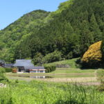 のどかな山里を彩る七色樫