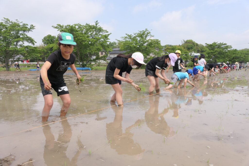 丁寧に苗を植えていく子どもたち
