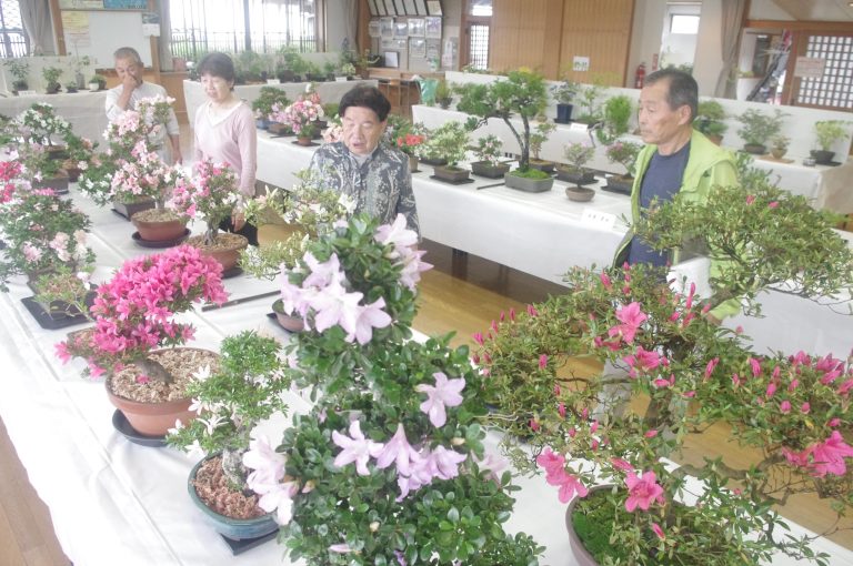 サツキや山野草で彩られた会場