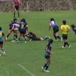 力と技をぶつけ合う選手たち