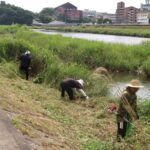 まつり会場の吉井川河川敷の草刈りをする津山納涼ごんごまつり実行委