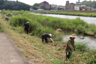 まつり会場の吉井川河川敷の草刈りをする津山納涼ごんごまつり実行委