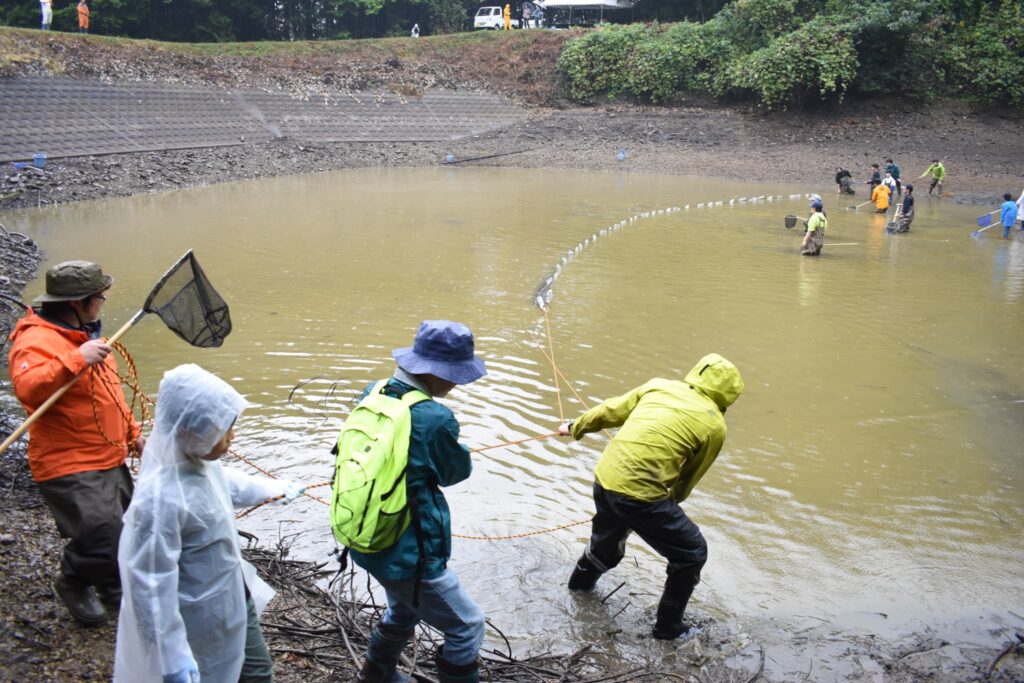 入道池でのかいぼり調査