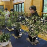 素朴な美しさを醸し出す山野草
