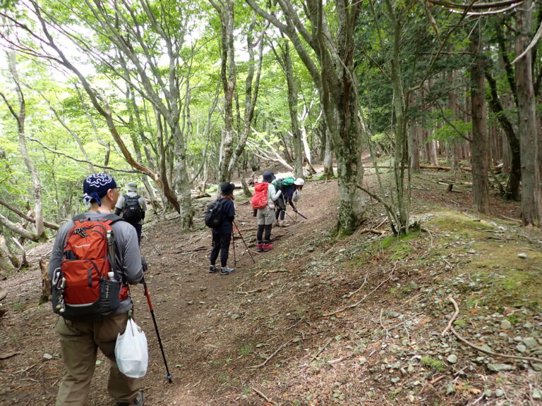 ごみを拾い集めながら登山を楽しむ参加者=岡山県奈義町で