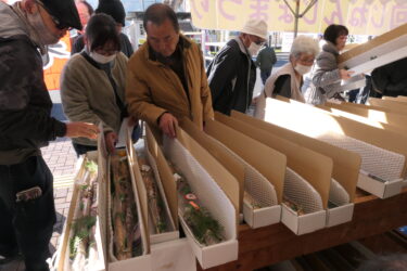 久米地域特産の自然薯を買い求める人たち=岡山県津山市で