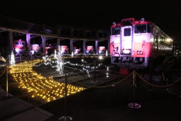 きらびやかで幻想的な雰囲気を醸し出す館内=岡山県津山市で