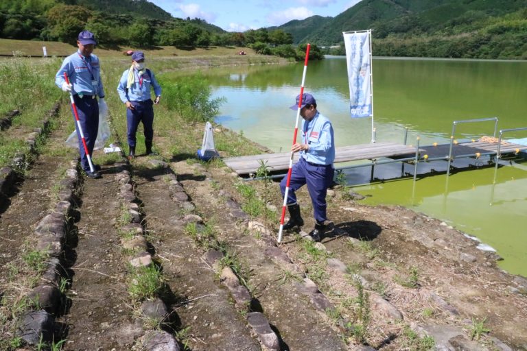 奥津湖畔で護岸をチェックする苫田ダム管理所職員ら