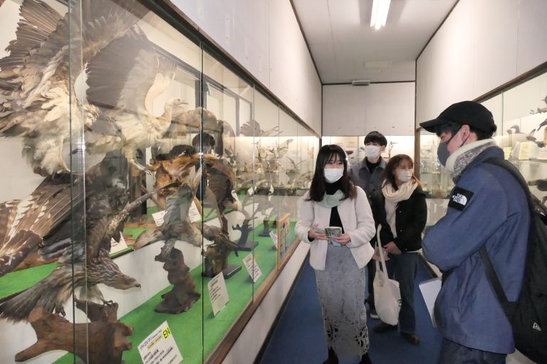 体験ツアーでつやま自然のふしぎ館を訪れた岡山大学の学生たち