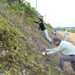 吉井川河川敷でのり面の雑草を刈り取る市民=岡山県津山市で