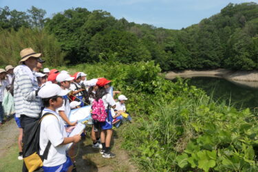 ため池を見学する児童=岡山県津山市で