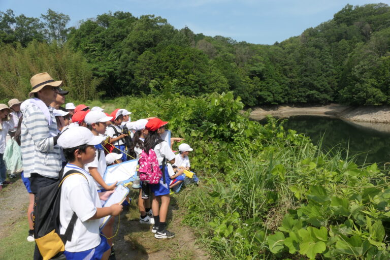 ため池を見学する児童=岡山県津山市で