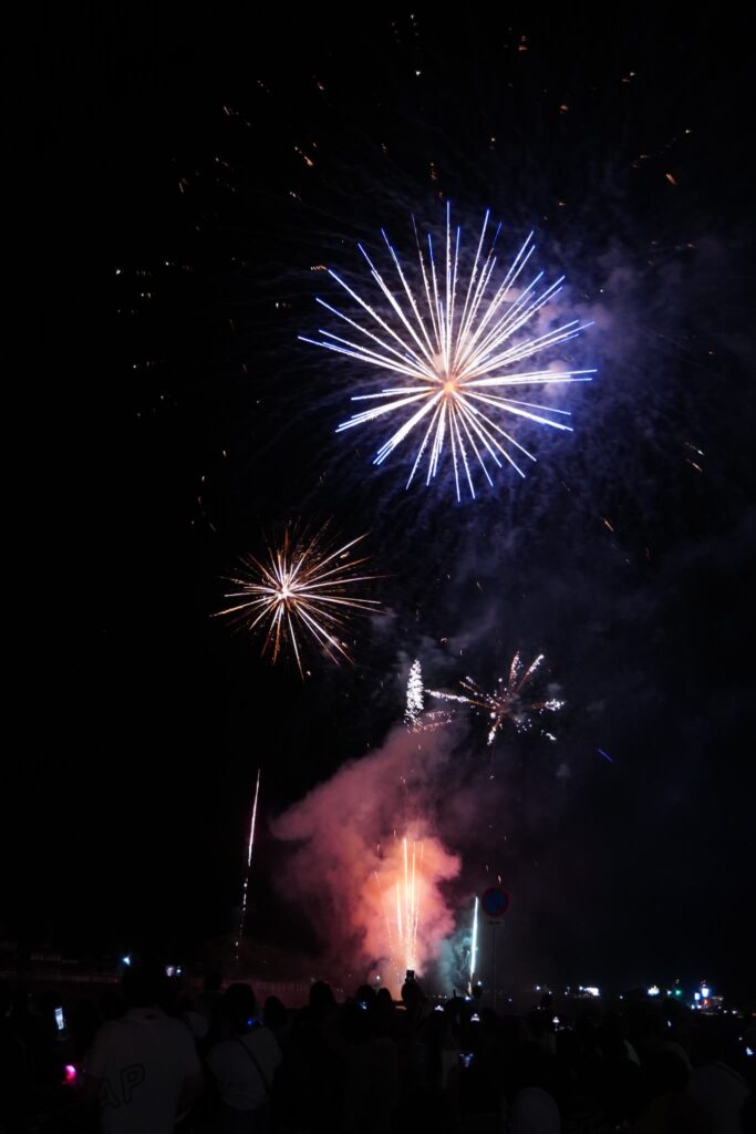 夜空を彩る花火