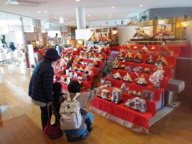 めぐみ荘を華やかに彩る雛飾り=岡山県津山市で