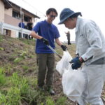 河川敷のごみを拾う参加者