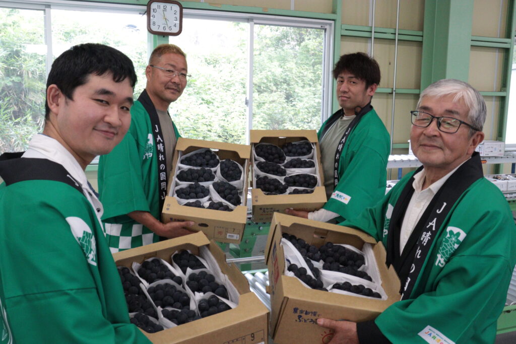 初日に運ばれた艶のある紫黒色のニューピオーネ