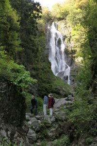 中国地方最大を誇る国の名勝・神庭の滝