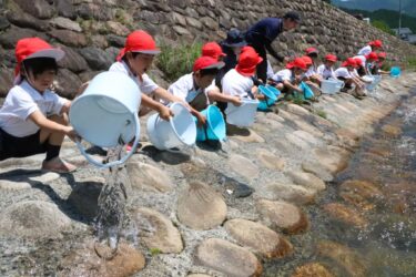 ”小さな命”とのふれあい　小学生がアマゴの稚魚放流　「元気に大きくなってほしい」／岡山・美作市