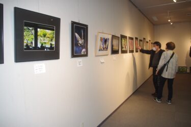 第48回岡山県北写真展　目を引く個性豊かな作品が143点「気軽に足を運んでほしい」／岡山・津山市