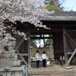 桜に包まれた高野神社の門をくぐり、春祭へと向かう家族連れ