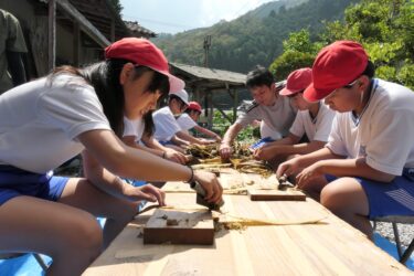 ミツマタの皮を丁寧に「へぐる」児童=岡山県津山市で