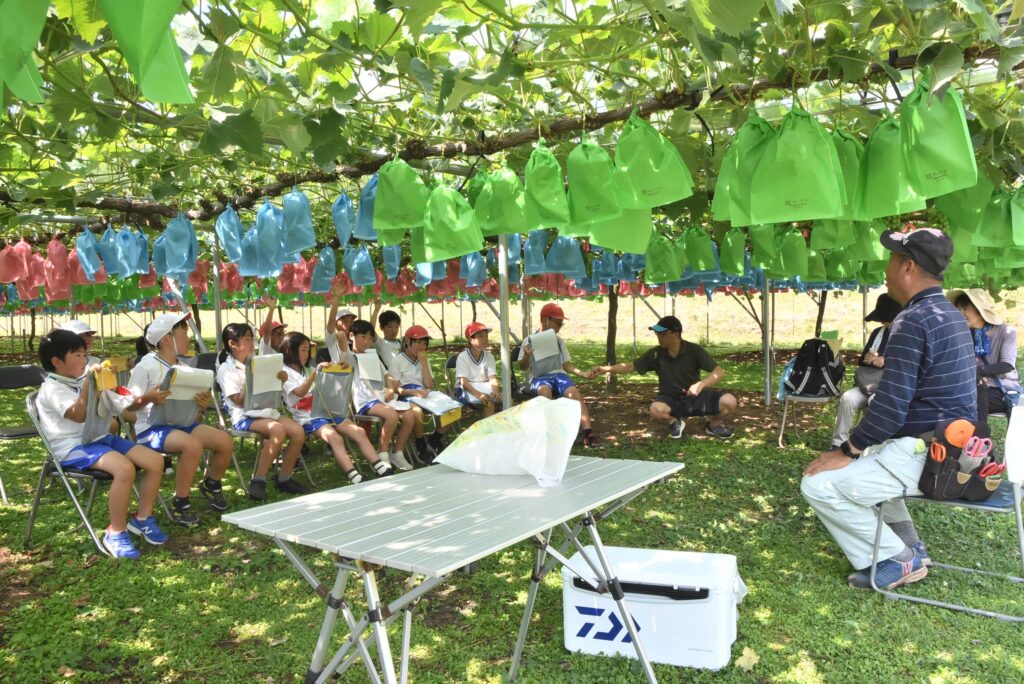 園主の森山さんからブドウの栽培について説明を受ける児童