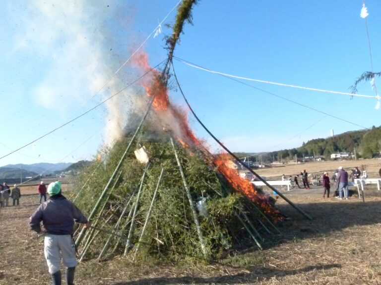 とんど祭りで勢いよく燃え上がる青竹の束=岡山県津山市で