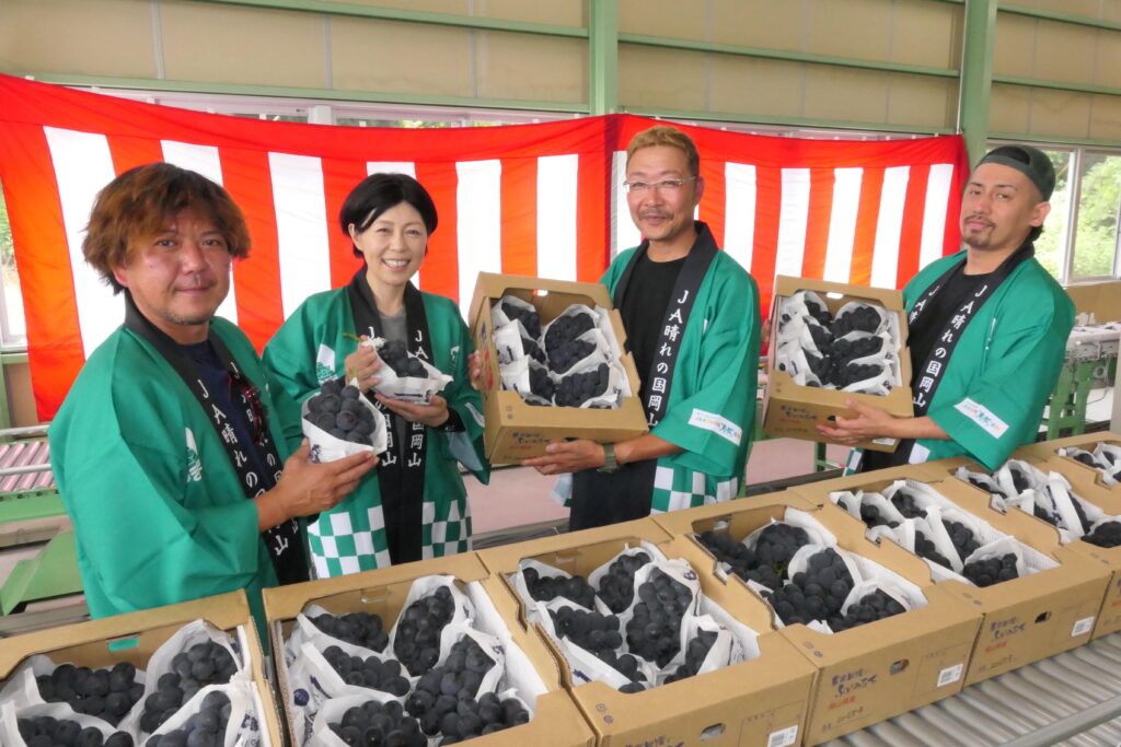 今年初出荷するピオーネ