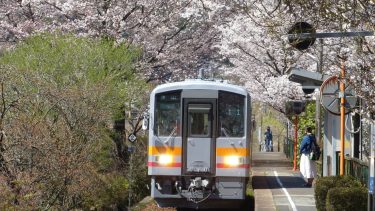 ＪＲ因美線・三浦駅 桜のトンネル　見ごろ
