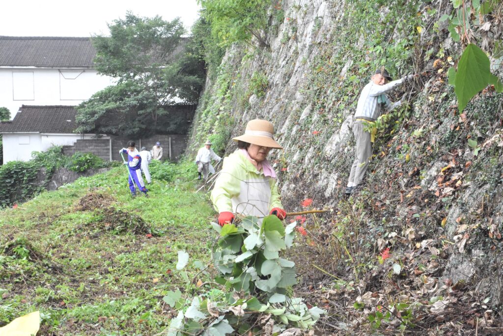 石垣を覆うツタを切り払う参加者