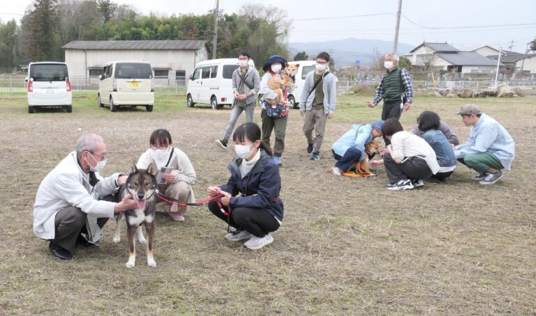 訪れた人たちとふれあう保護犬たち=岡山県津山市で