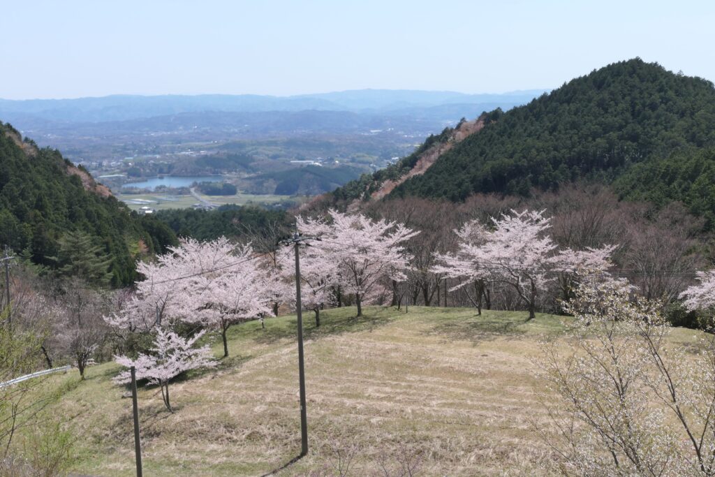 市内を見下ろす眺望