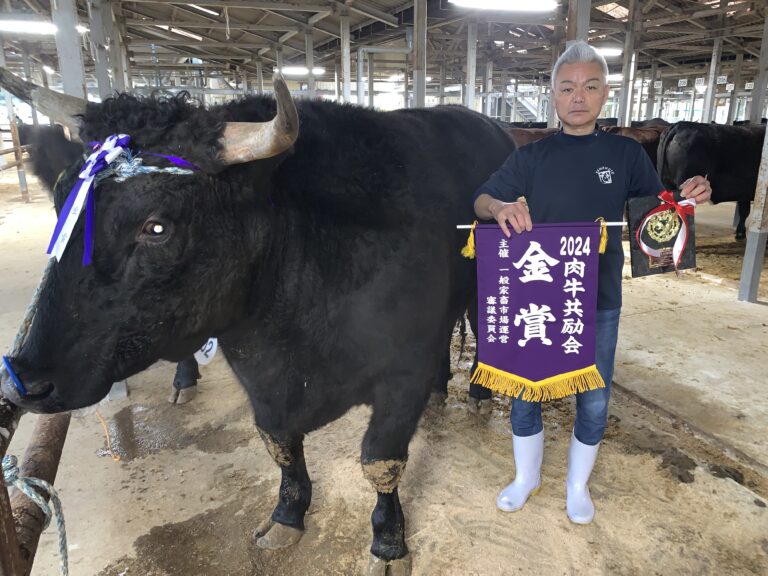 最高価格とキロ単価の金賞去勢を獲得した山本さん=岡山県真庭市で