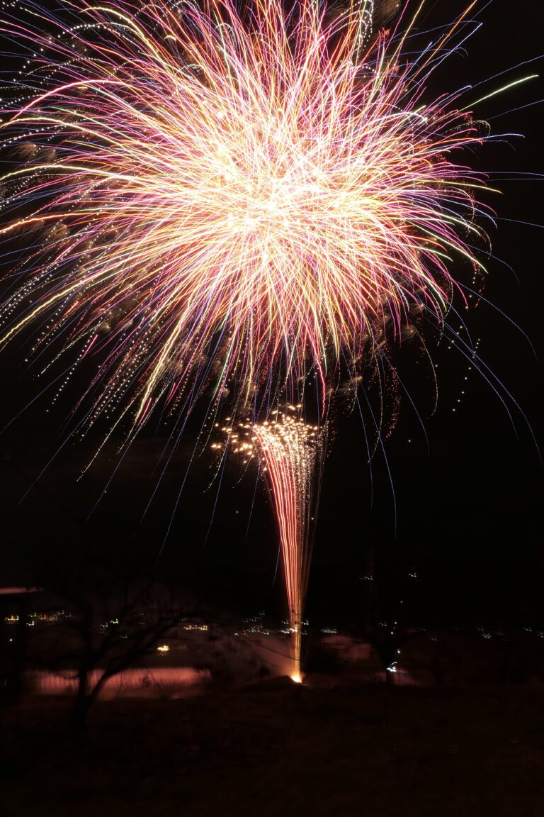 新年を祝う色とりどりの花火=岡山県津山市で