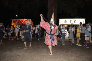 ユニークな所作で会場を沸かせる変装踊り「てんこ」＝岡山県真庭市で