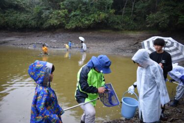 池に生息する生き物をつかまえる参加者