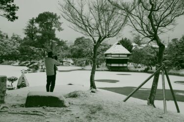 雪化粧に覆われた衆楽園=岡山県津山市で、8日午前7時17分