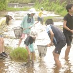 倭文川で魚のつかみ取りを楽しむ親子連れ＝岡山県津山市＝