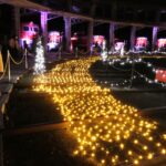 普段と異なる景色を楽しむ来館者