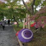 紅葉と番傘アートの演出をめでる入園者