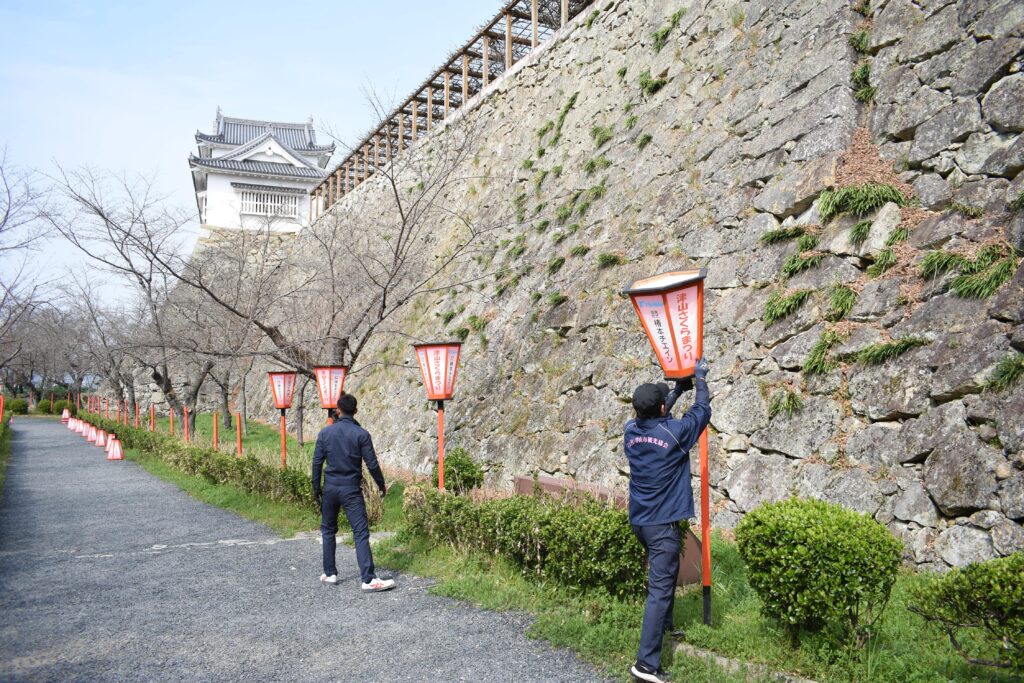 幻想的な夜桜の風情を演出するぼんぼり