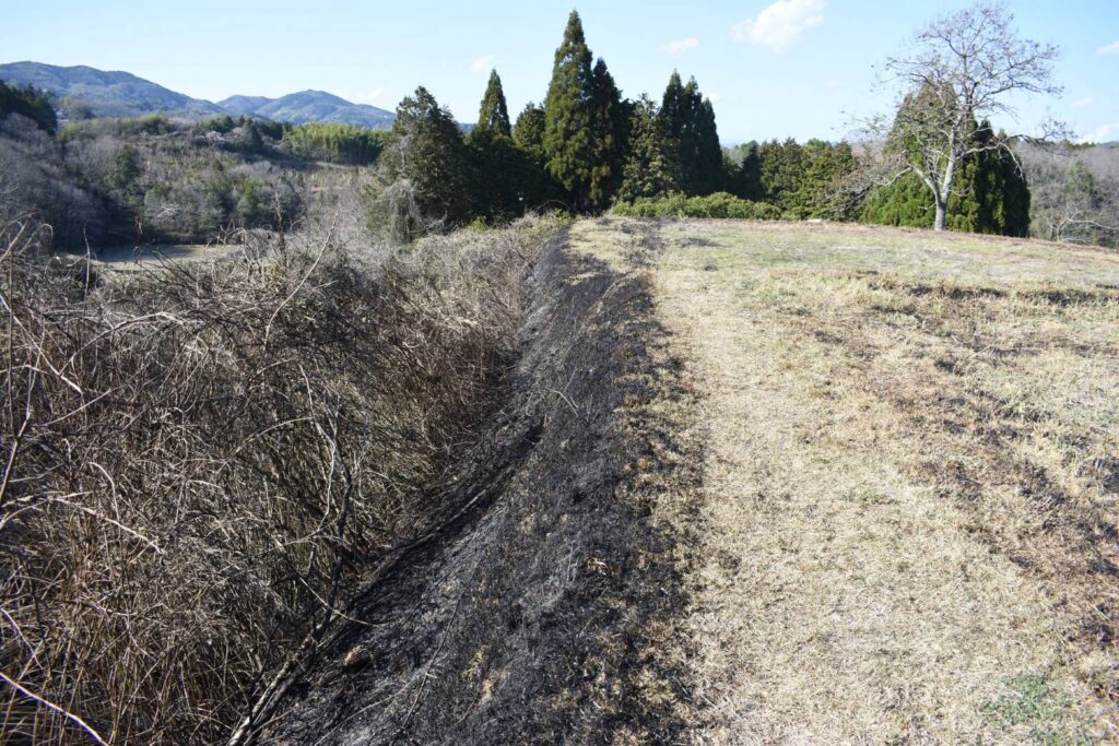 広く燃えた枯草火災の現場