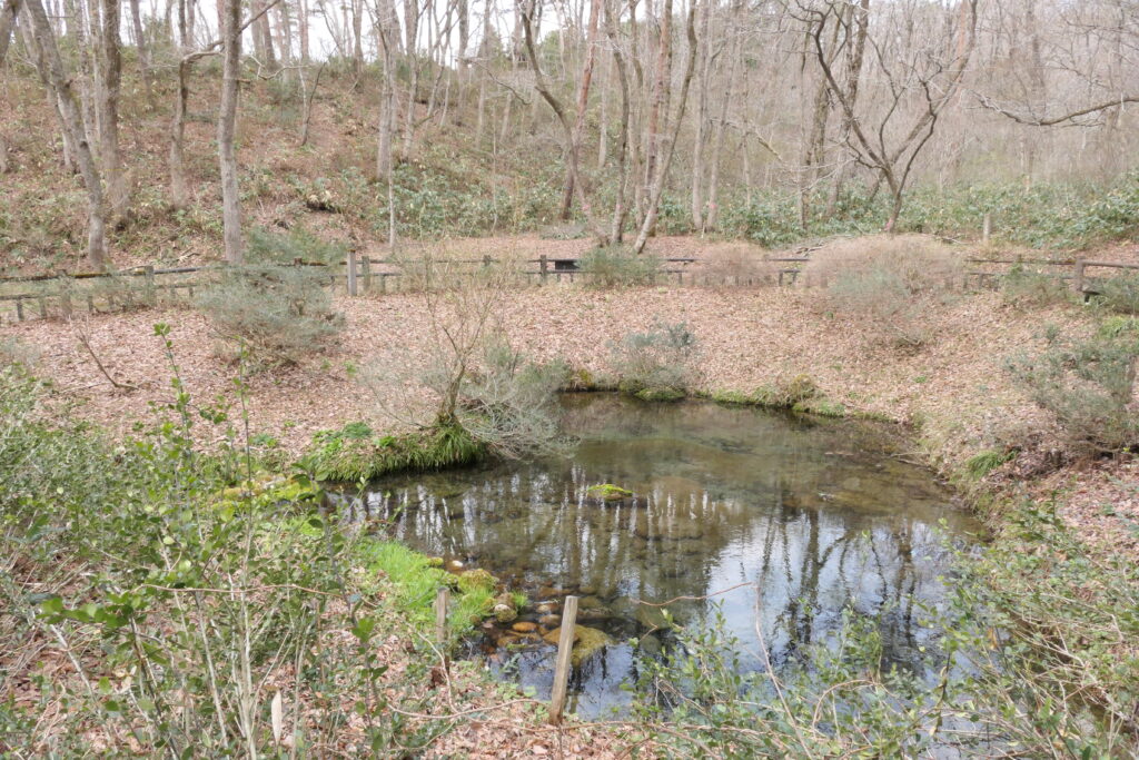 敷地内に湧き出ている塩釜の冷泉
