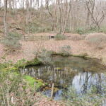 敷地内に湧き出ている塩釜の冷泉