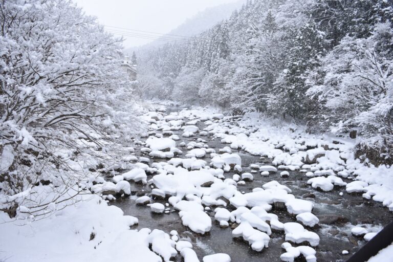 美しく雪化粧した奥津渓