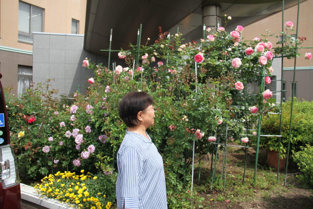 色とりどりのバラに見入る来院者