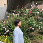 色とりどりのバラに見入る来院者